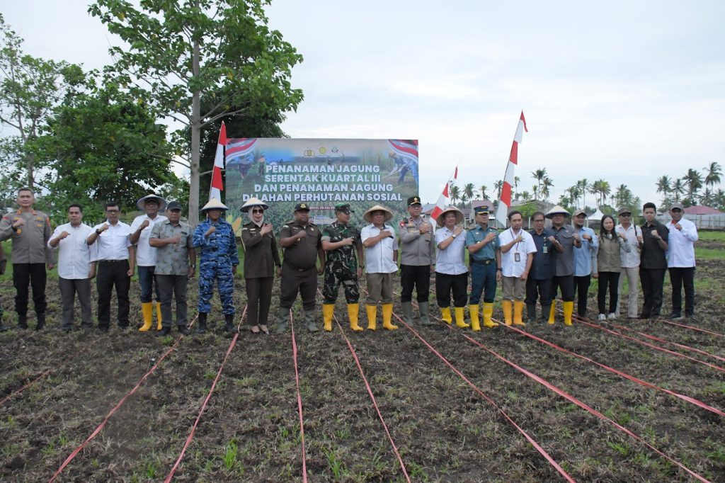 Penanaman Jagung Serentak Kuartal III