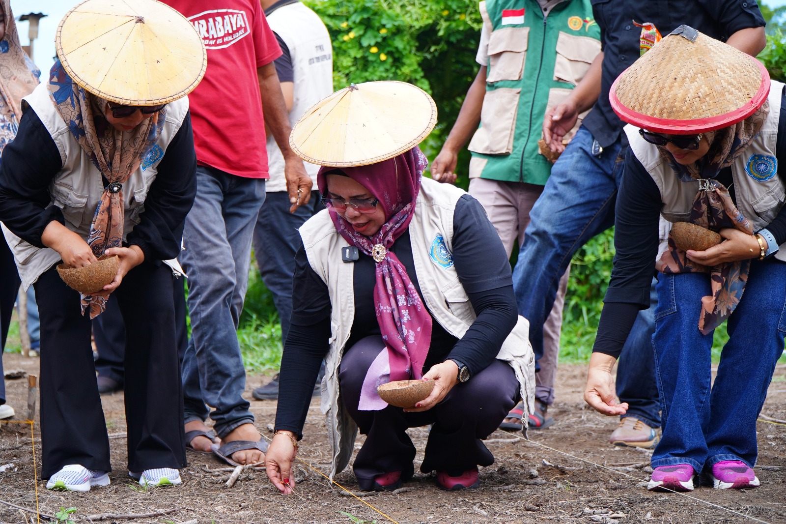 Perkuat Program Ketapang Emas, Ketua TP PKK Tidore Resmi Panen Perdana Jagung di Payahe