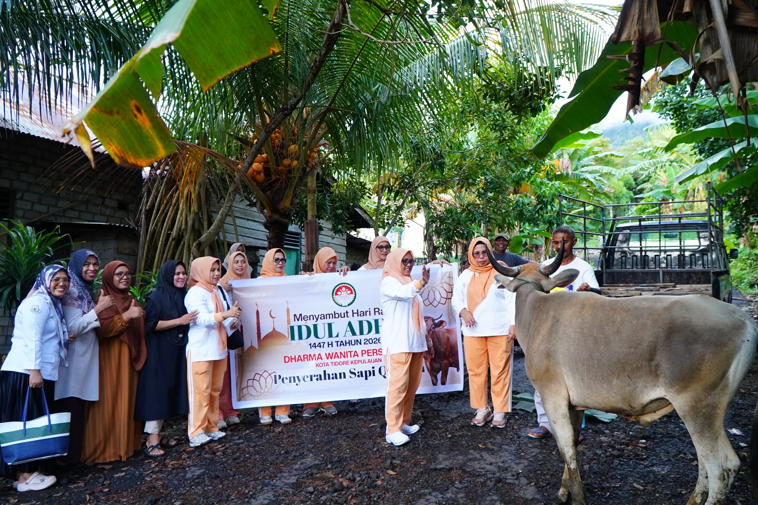 DWP Tidore Salurkan 2 Ekor Sapi Qurban untuk Hari Raya Idul Adha 1447 H/2026 M